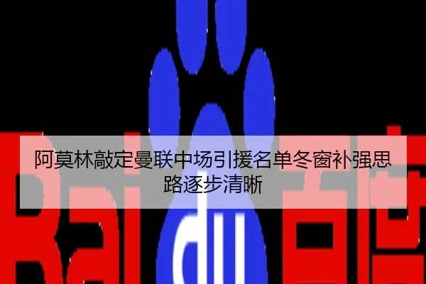 阿莫林敲定曼联中场引援名单冬窗补强思路逐步清晰